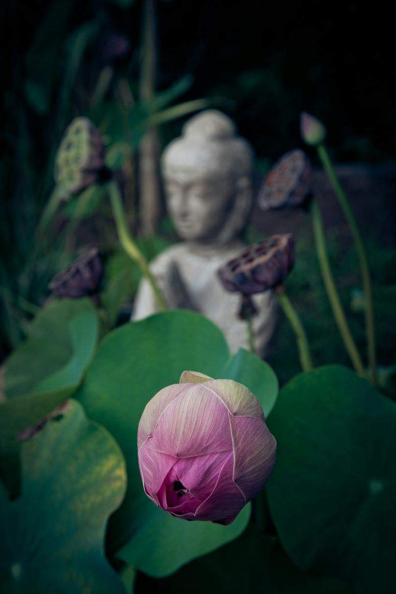 YogaZentrum Harmonisch - Image 5